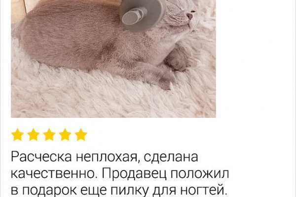 Ссылка на кракен