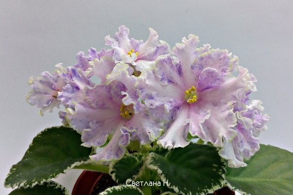 2krn cc официальный