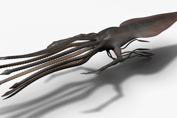 Kraken настоящая ссылка