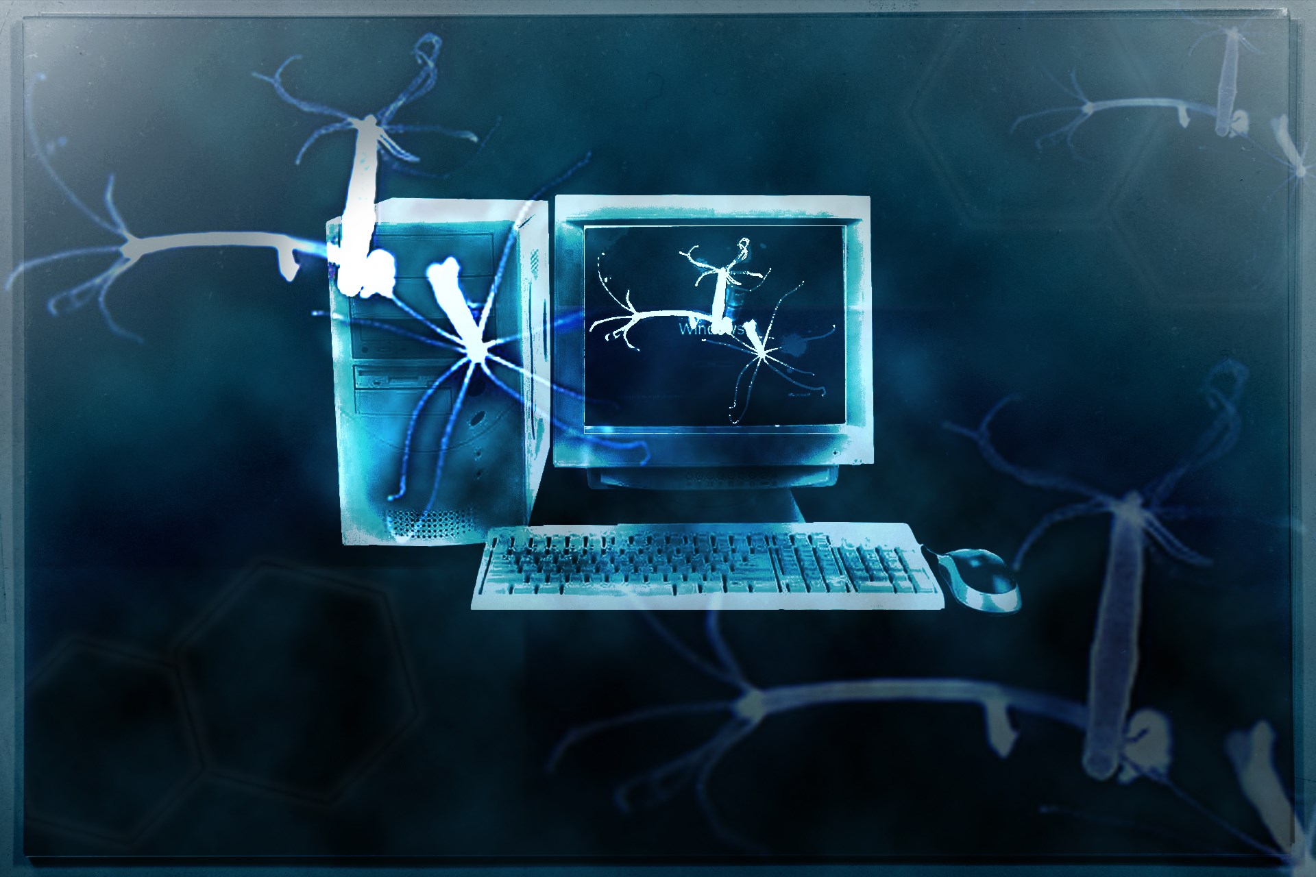 Кракен настоящий сайт